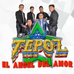 How Much Does Grupo Los Tepoz Charge