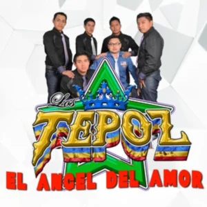 How Much Does Grupo Los Tepoz Charge